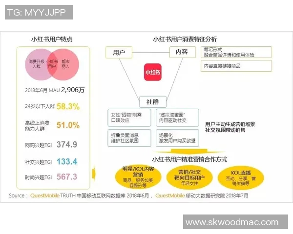 广州极限运动队的进攻策略与热点分析探秘