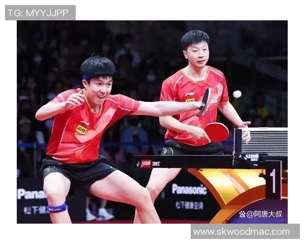 2015年王楚钦与马龙的精彩对决回顾与分析 2015年王楚钦与马龙的精彩对决回顾与分析